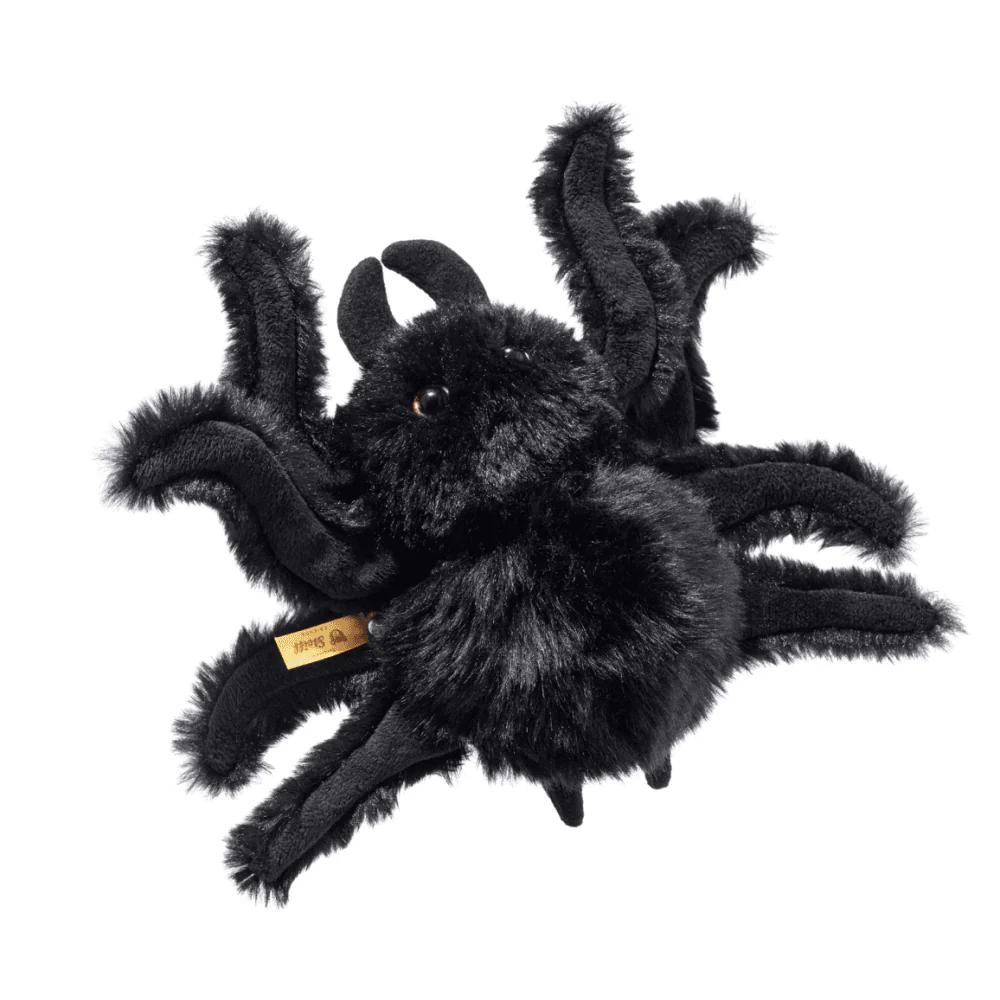 Cobweb spider - Image 2