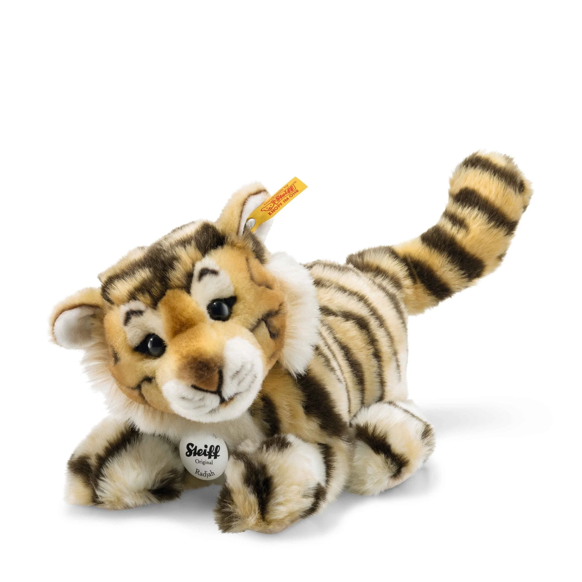 Radjah Baby Tiger