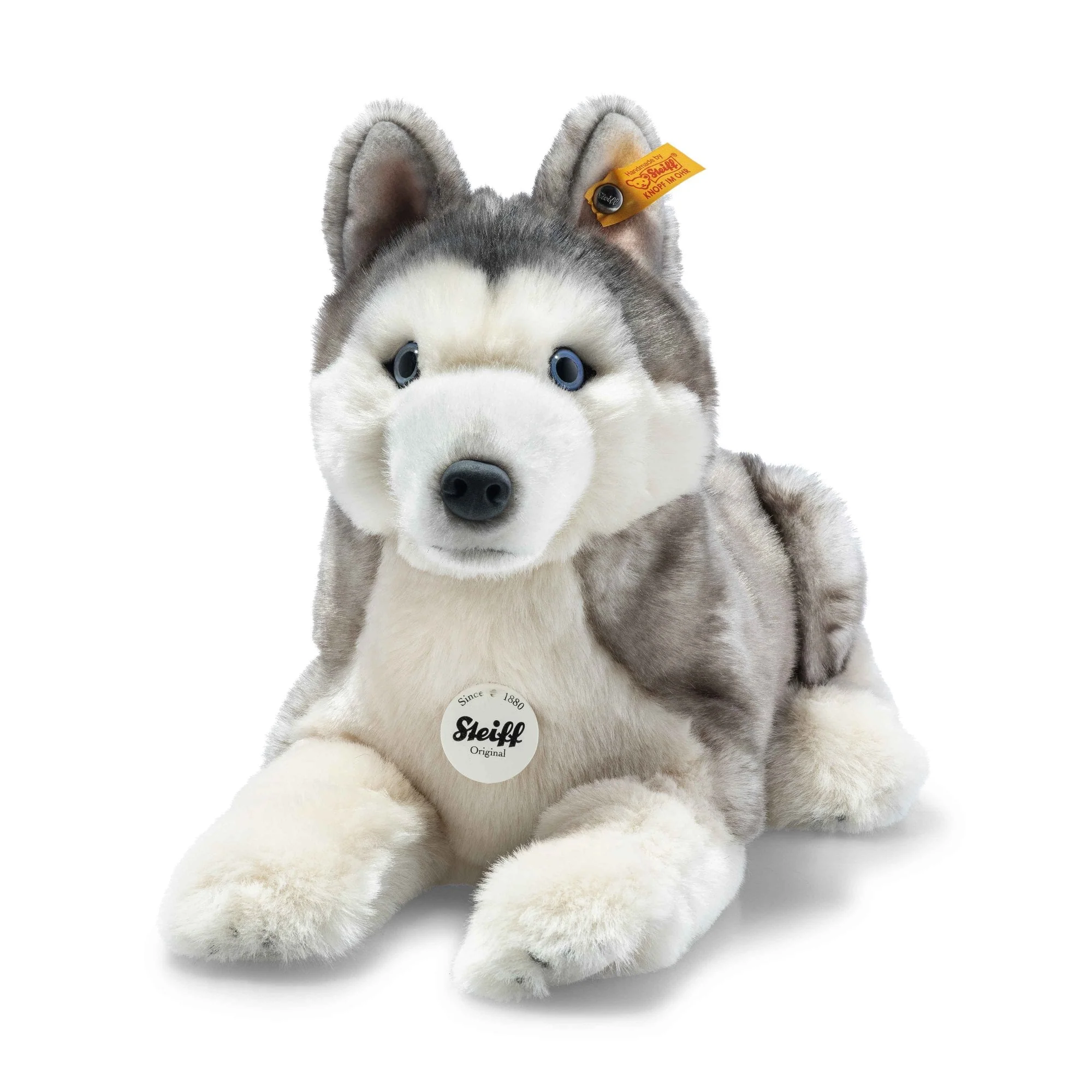 Bernie Husky (33)