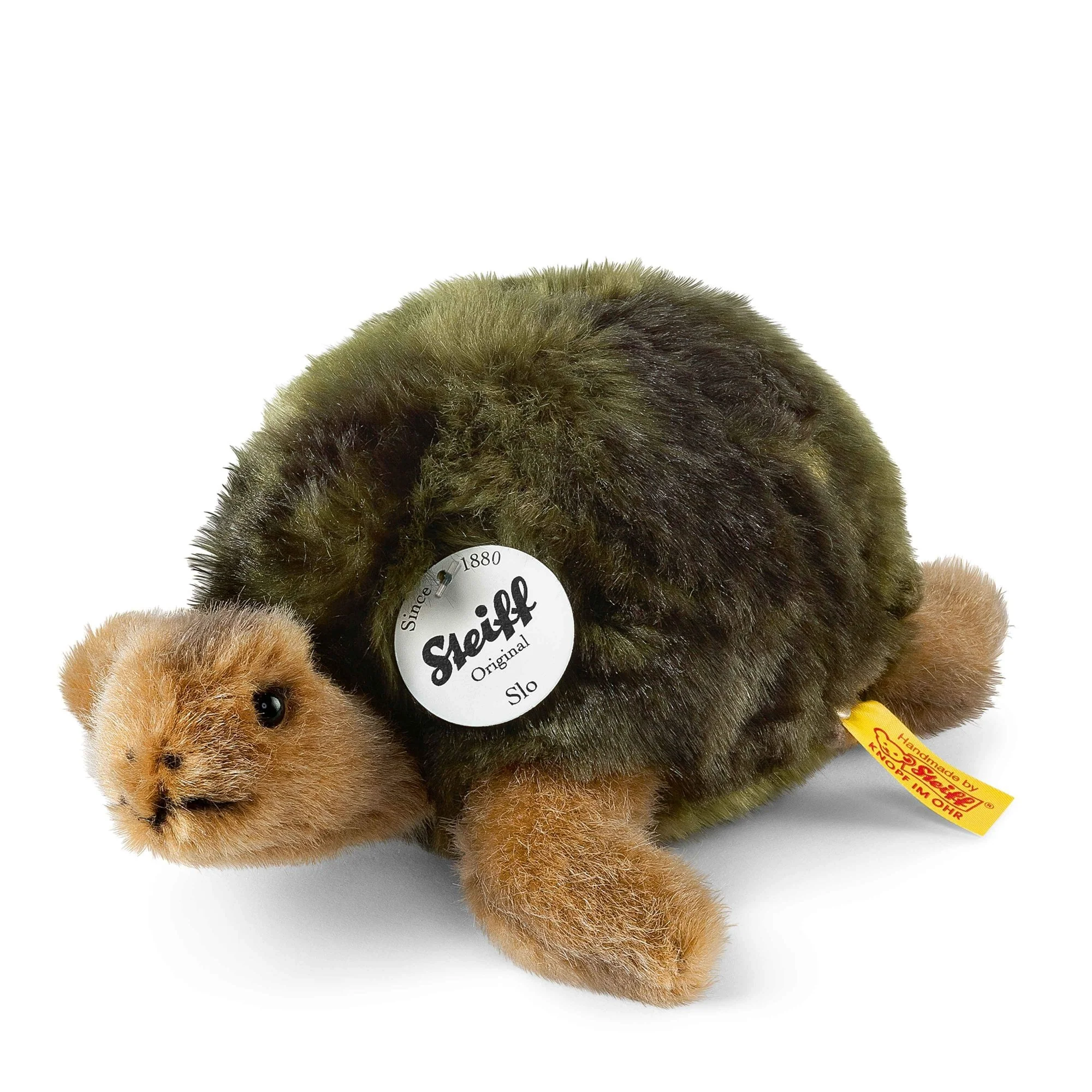 Slo tortoise