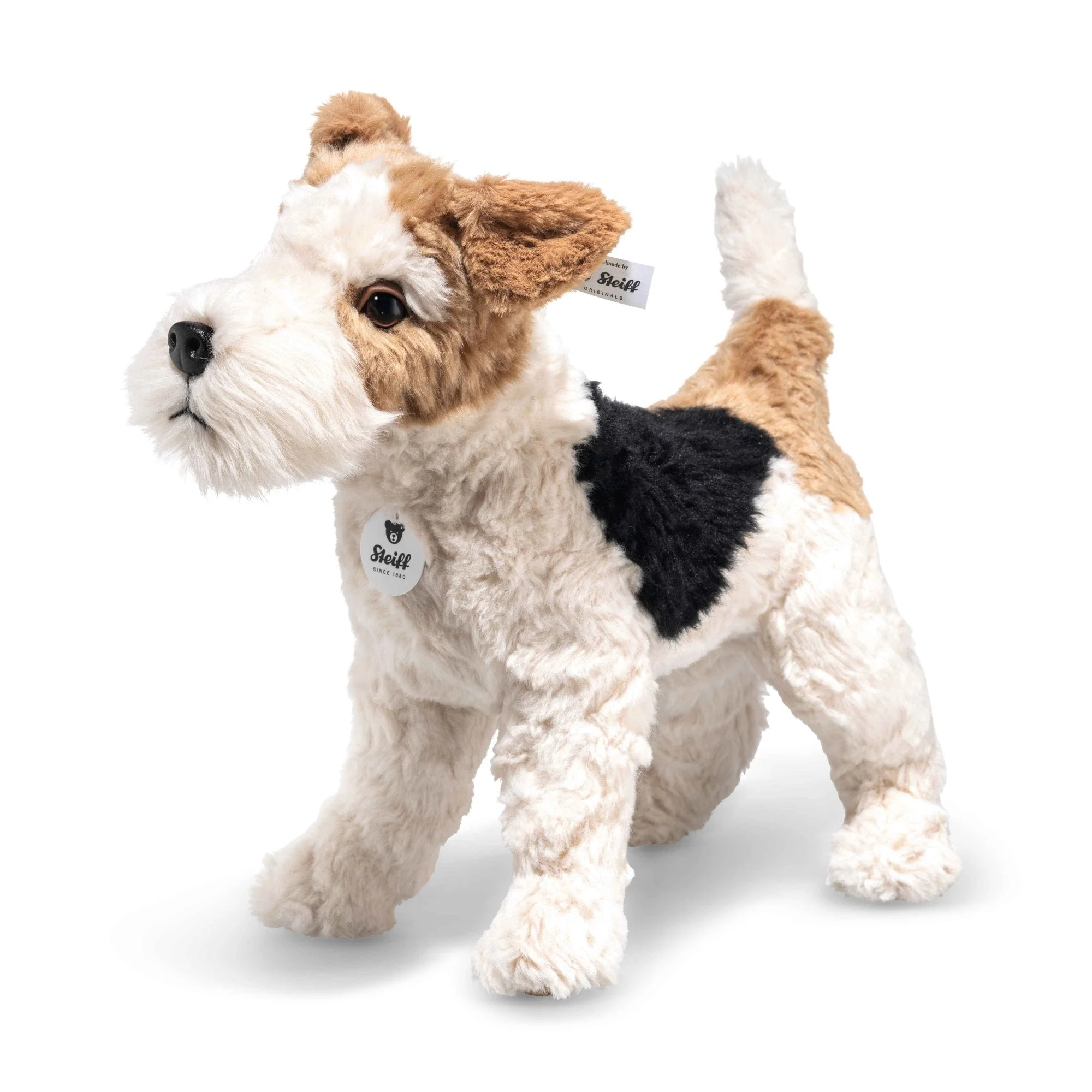 Foxy Fox Terrier