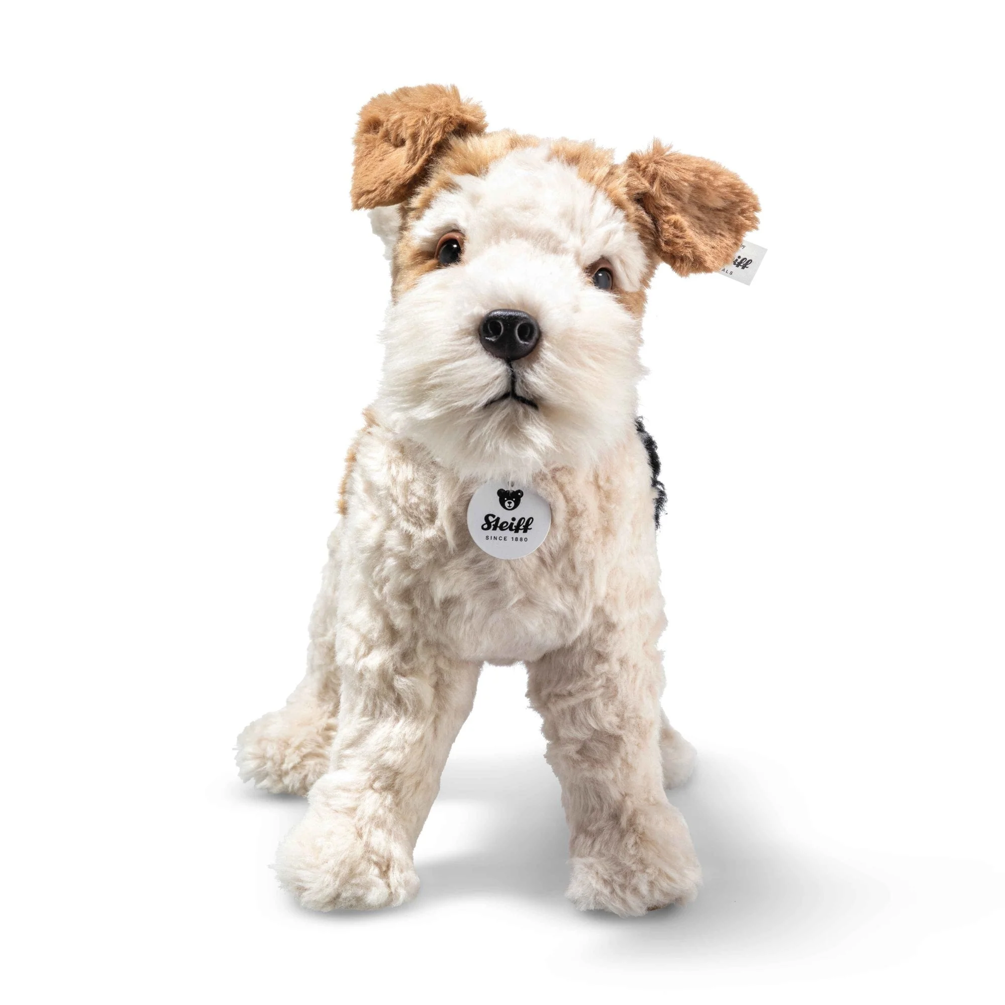 Foxy Fox Terrier - Image 8