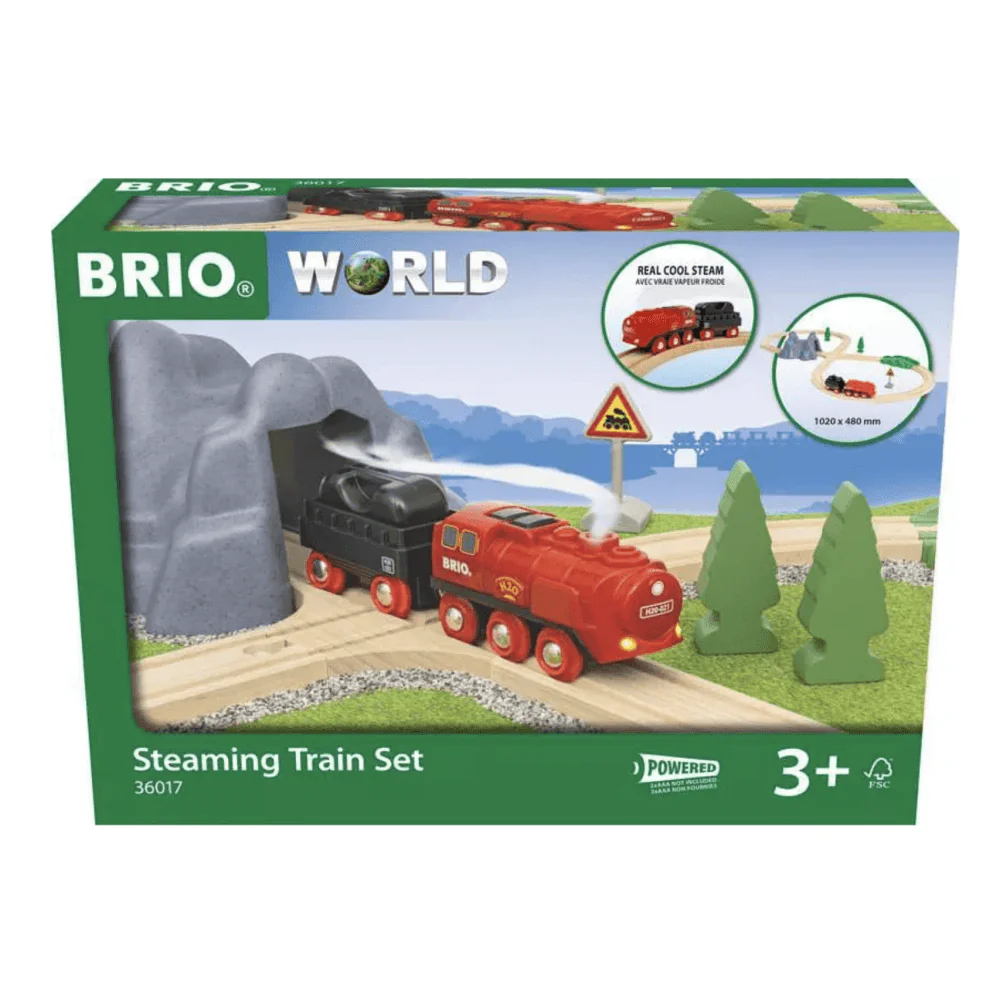 Steaming Train Set