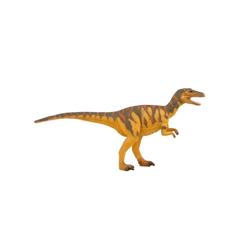 Natural History Museum Dinosaur Collection: Megalosaurus