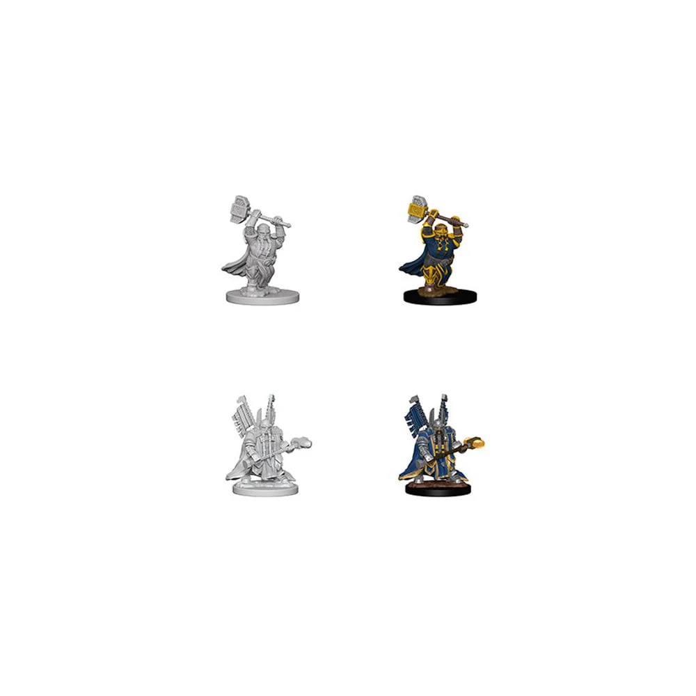 WizKids - D&D Nolzurs Marvelous Miniatures: Dwarf Male Paladin - Wave 4