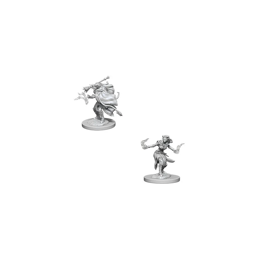 WizKids - D&D Nolzurs Marvelous Miniatures: Female Tiefling Warlock - Wave 6