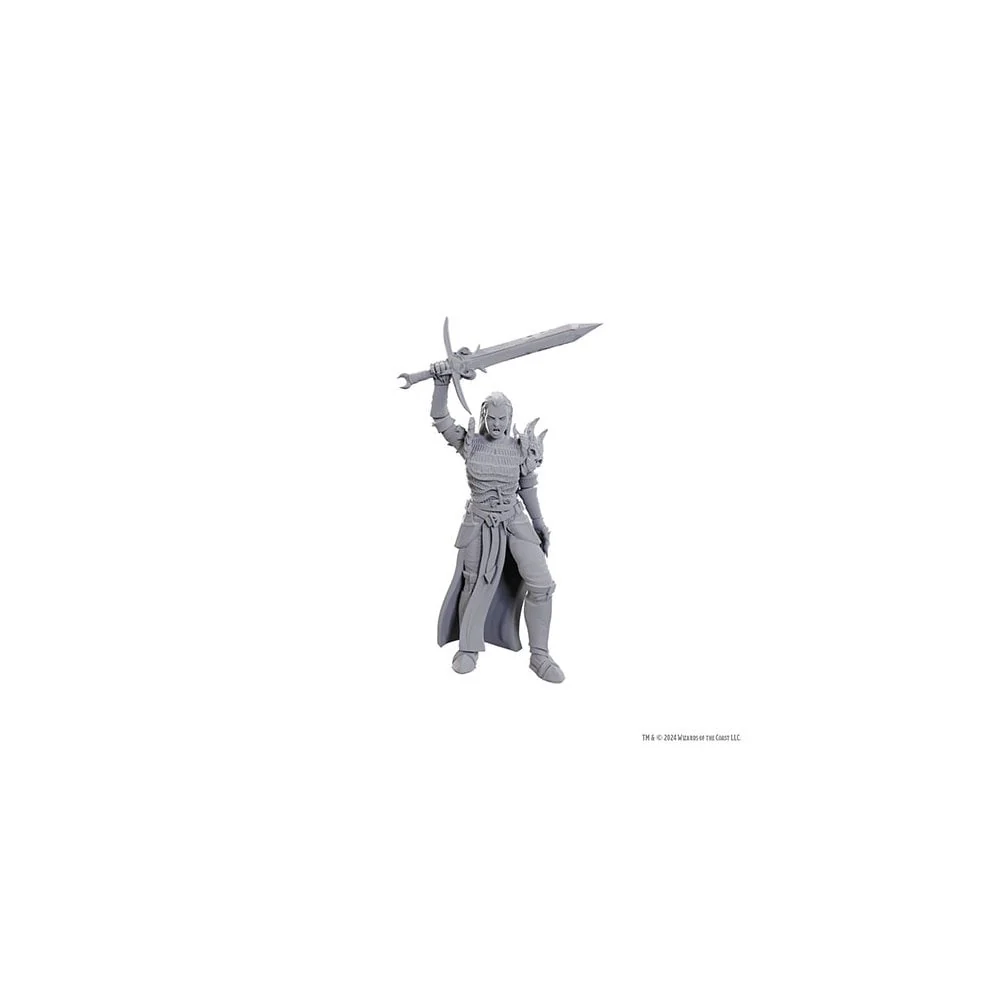 Wizkids - D&D Nolzurs Marvelous Miniatures: Wave 25 - Blackguard