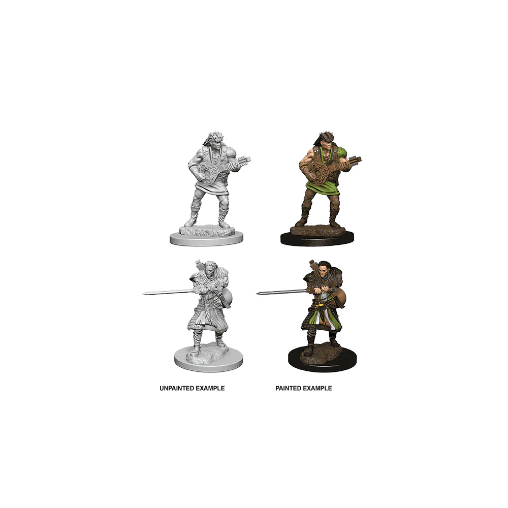 Human Male Bard: D&D Nolzur's Marvelous Unpainted Miniatures (W4)