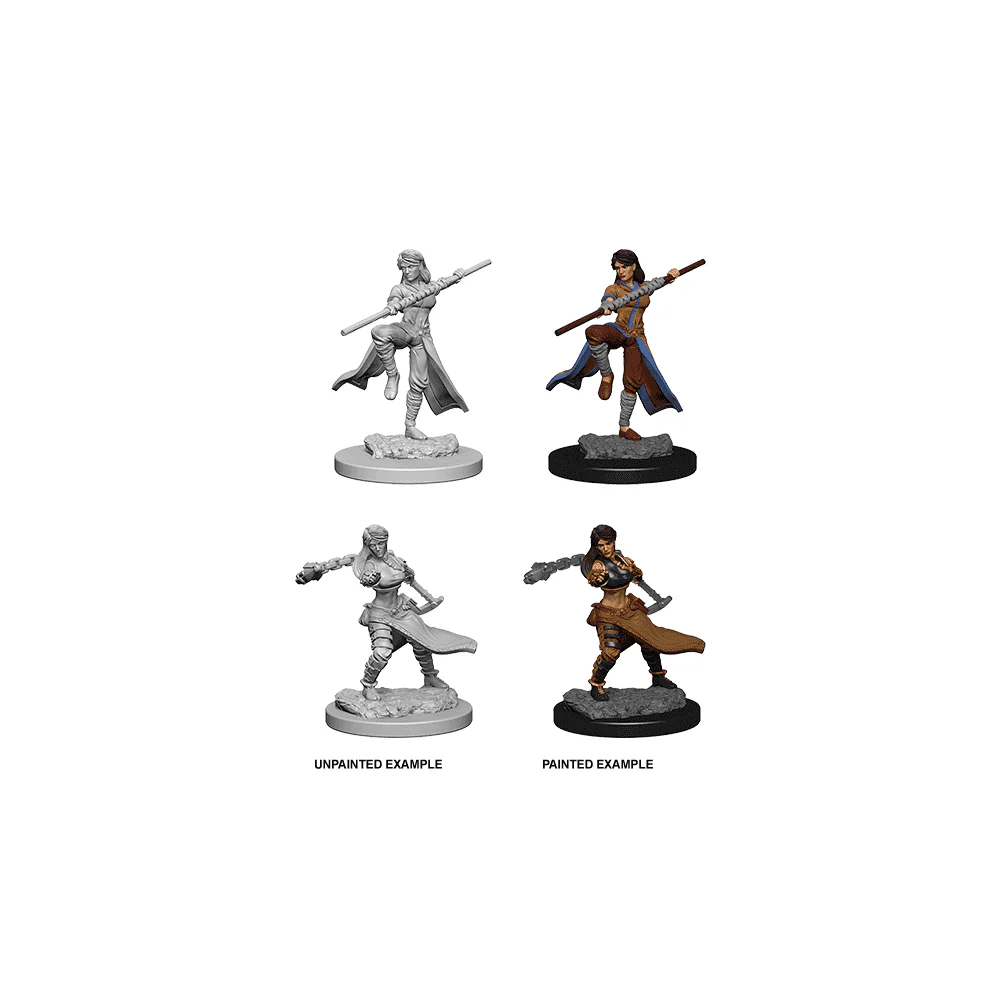 Human Female Monk: D&D Nolzur's Marvelous Unpainted Miniatures (W1)