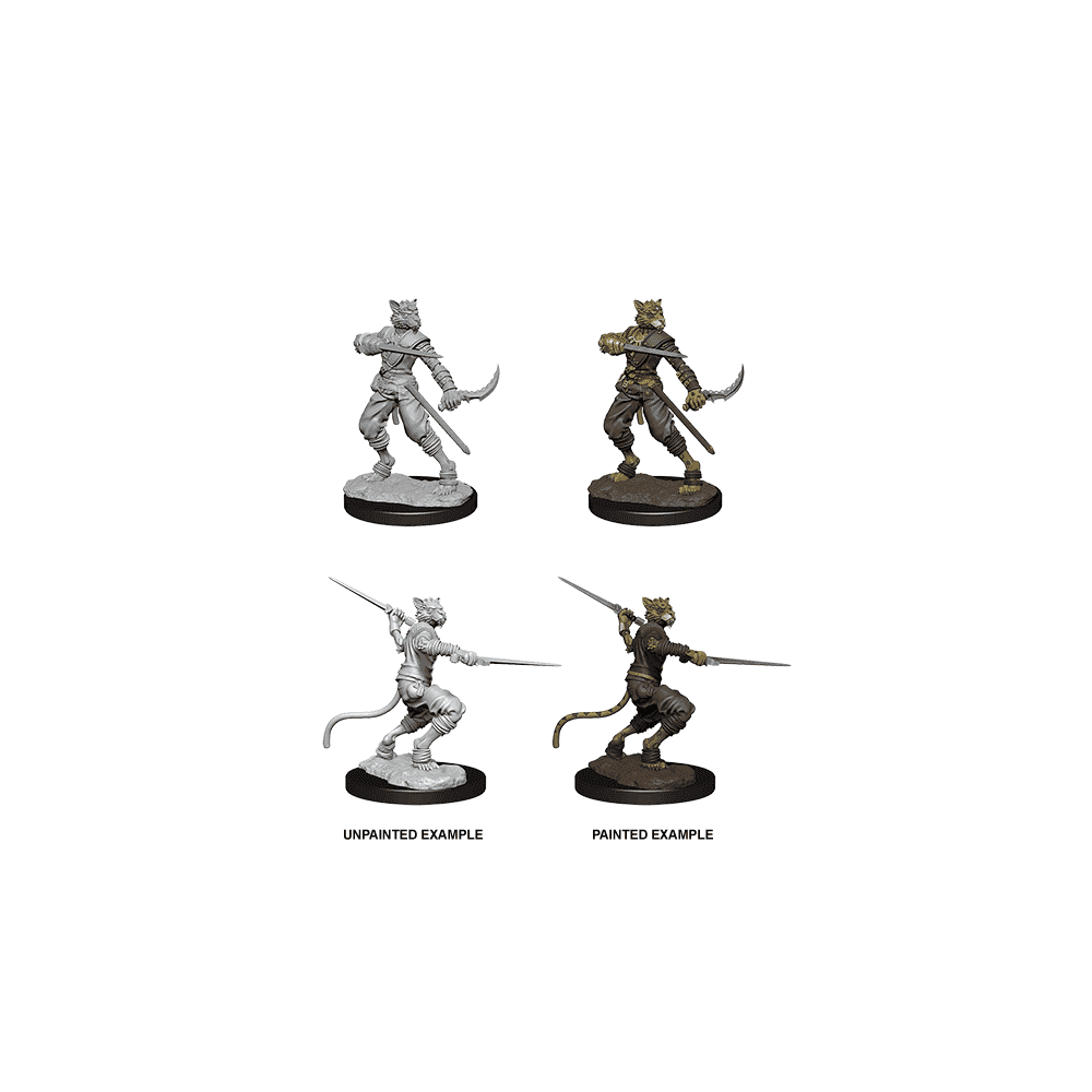 Male Tabaxi Rogue: D&D Nolzur's Marvelous Unpainted Miniatures (W7)