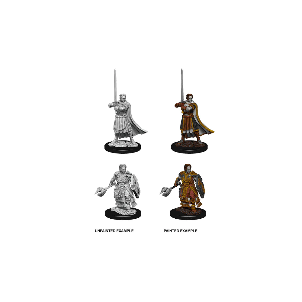 Male Human Cleric: D&D Nolzur's Marvelous Unpainted Miniatures (W8)