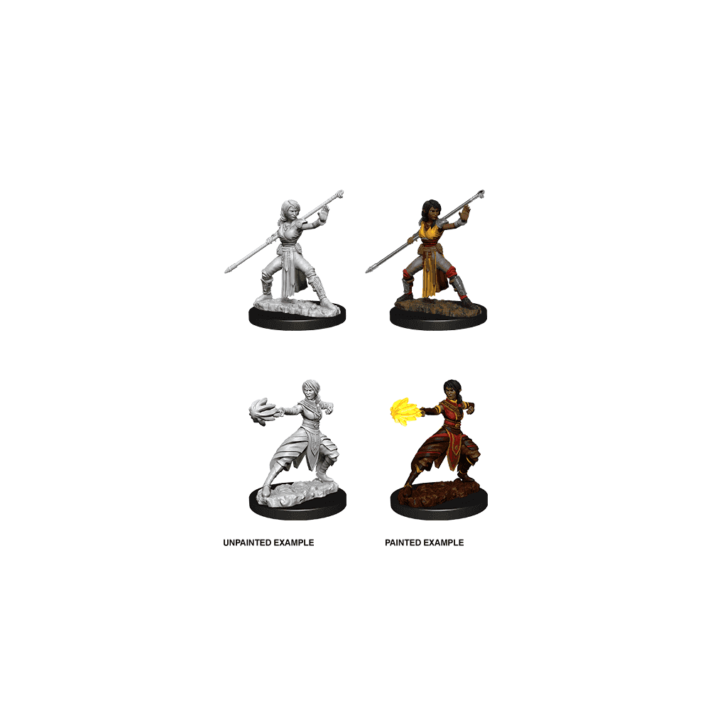 Female Half-Elf Monk: D&D Nolzur's Marvelous Unpainted Miniatures (W10)