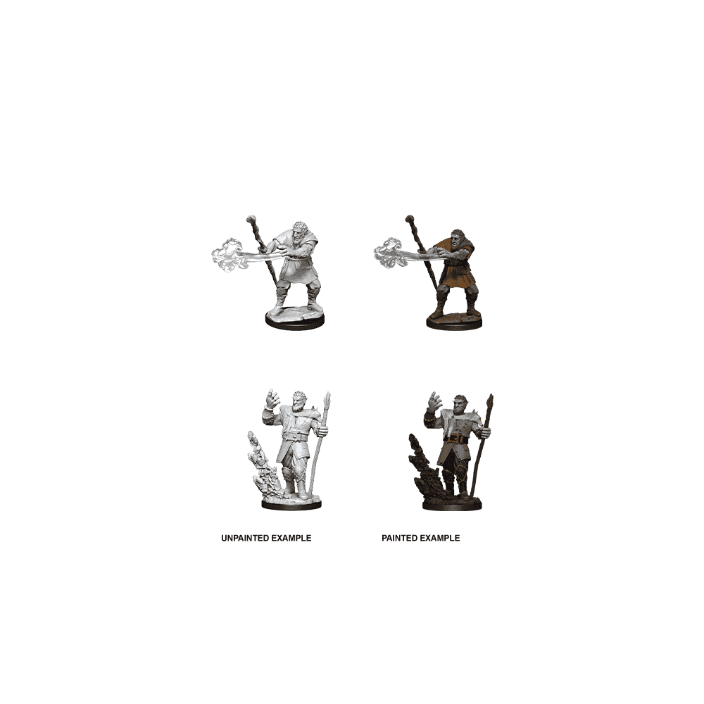 Male Firbolg Druid: D&D Nolzur's Marvelous Unpainted Miniatures (W11)