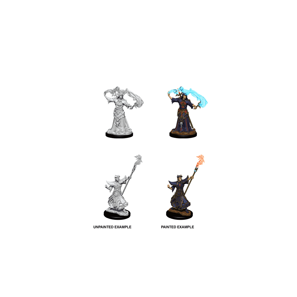 Male Human Sorcerer: Pathfinder Battles Deep Cuts Unpainted Miniatures (W11)