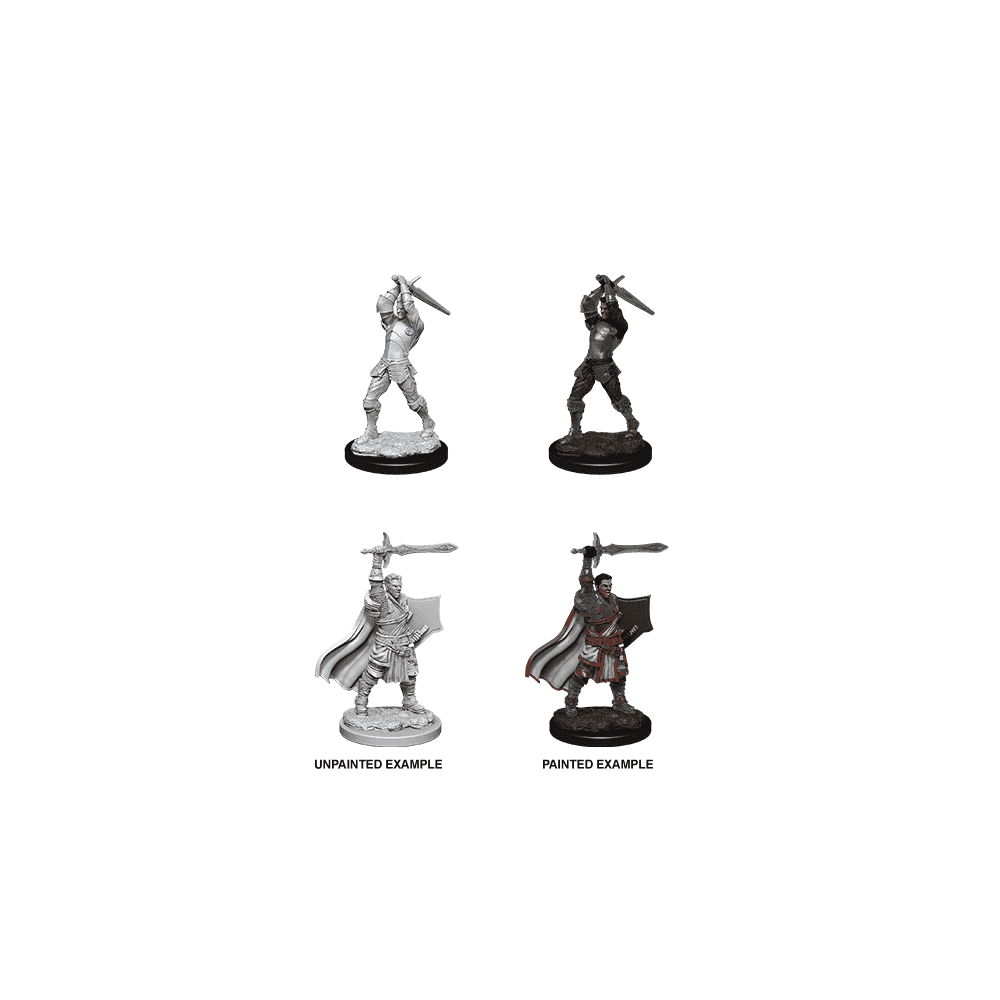 Male Human Paladin: D&D Nolzur's Marvelous Unpainted Miniatures (W12)