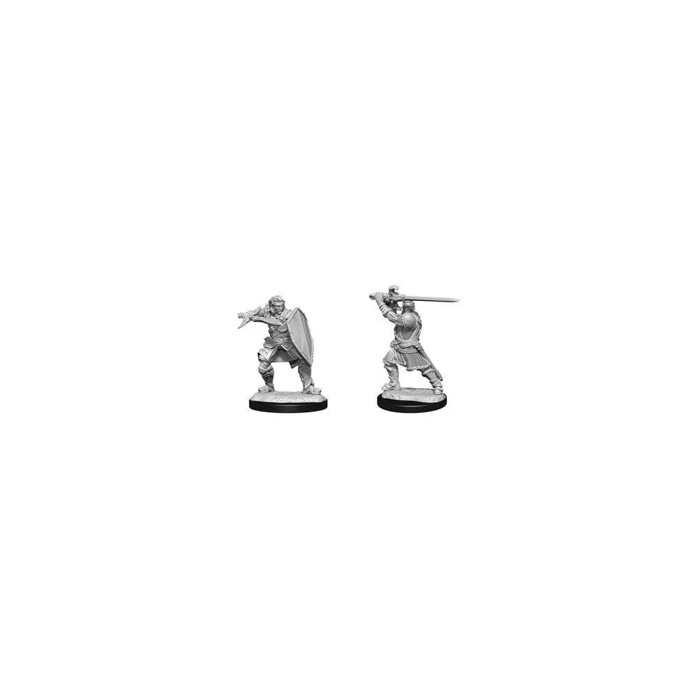 D&D Nolzur's Marvelous Unpainted Miniatures: Human Paladin Male