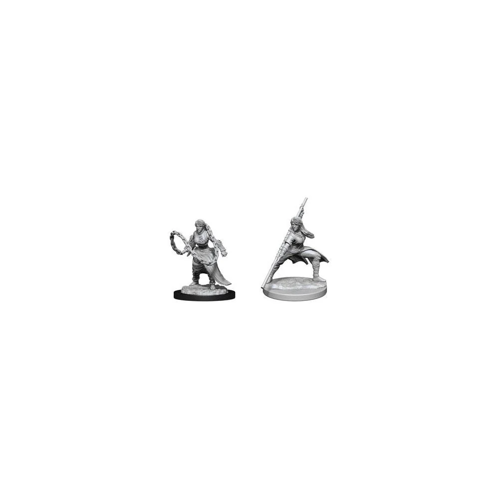 D&D Nolzur's Marvelous Unpainted Miniatures: Human Monk Female