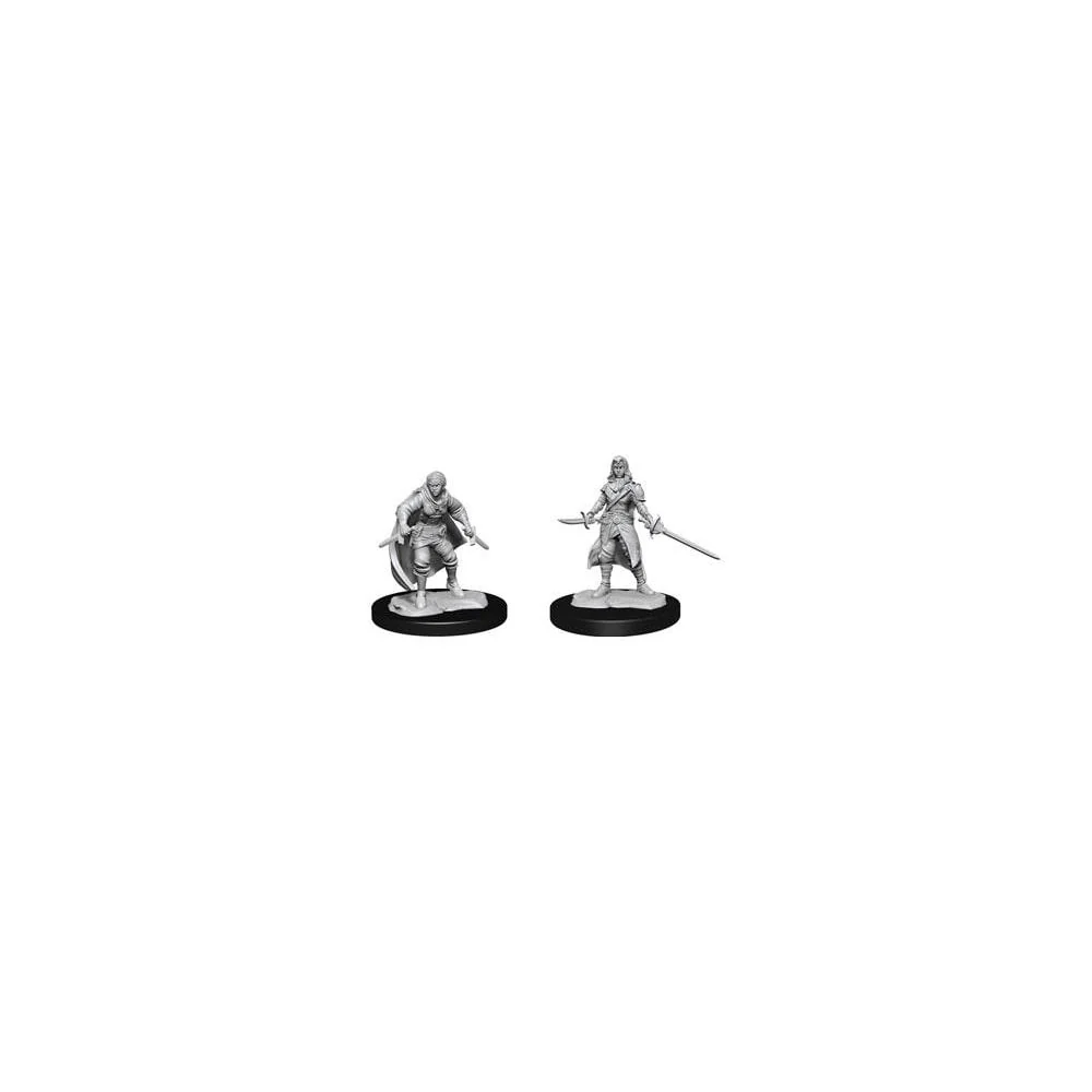D&D Nolzur's Marvelous Unpainted Miniatures: Half-Elf Rogue Female
