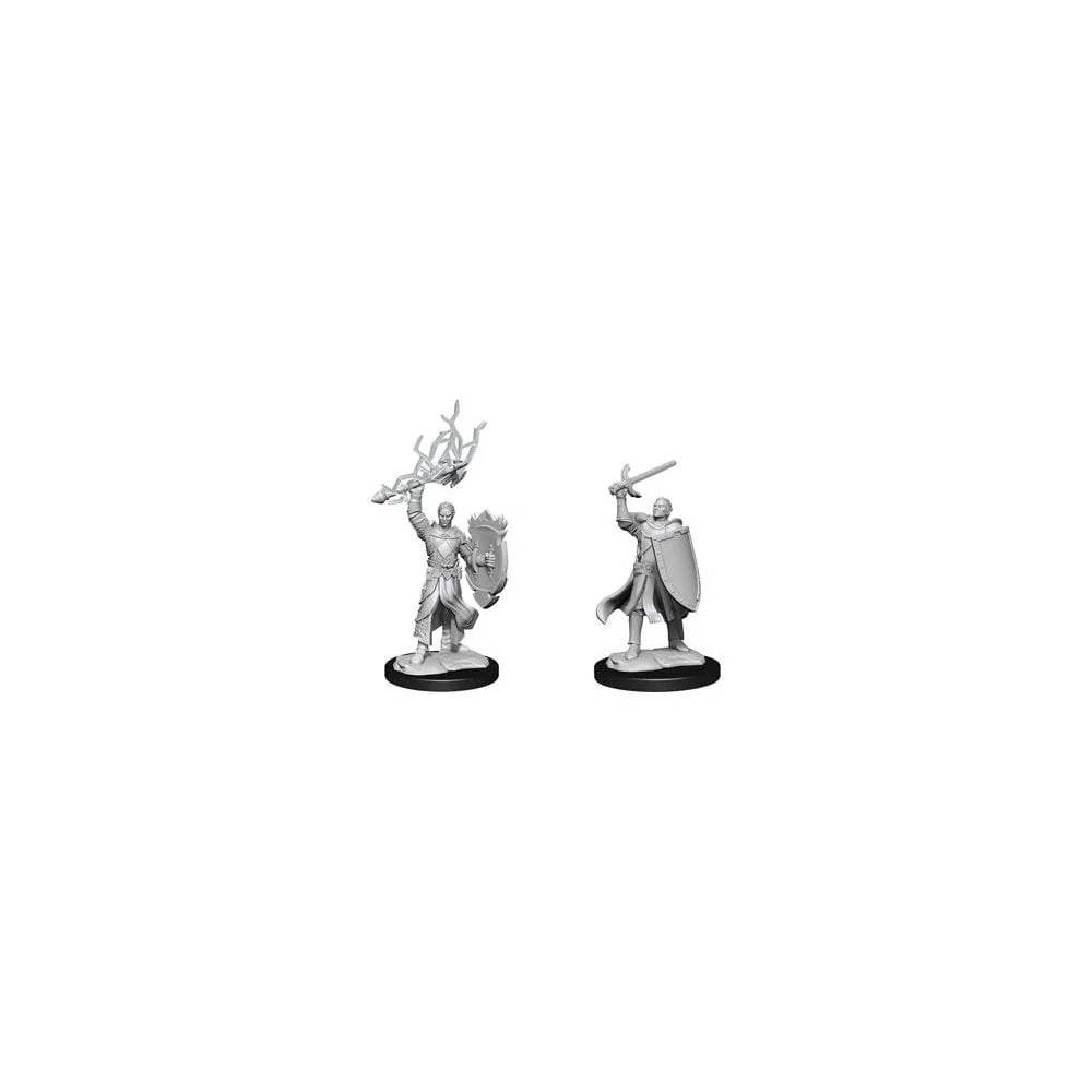 D&D Nolzur's Marvelous Unpainted Miniatures: Half-Elf Paladin Male
