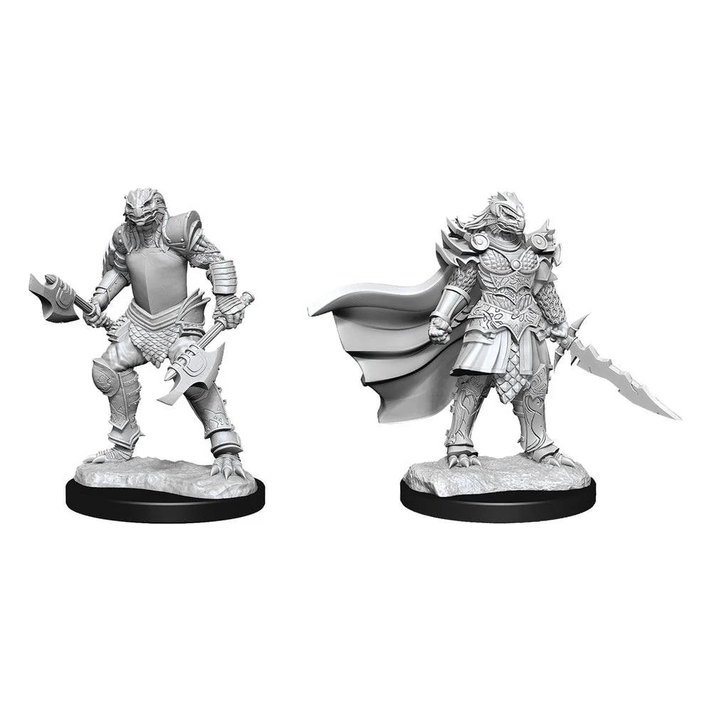 Dragonborn Fighter Female: D&D Nolzur's Marvelous Unpainted Miniatures (W15)