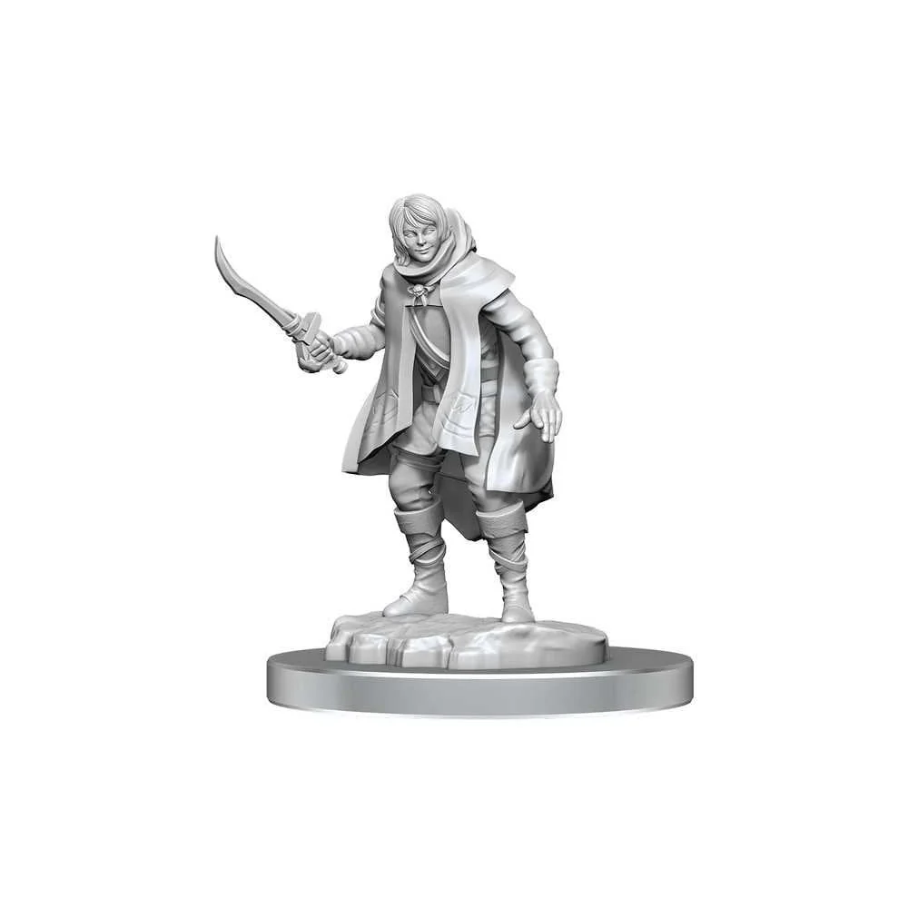 Elf Rogue & Half-Elf Rogue Protege: D&D Nolzur's Marvelous Unpainted Miniatures - Image 2