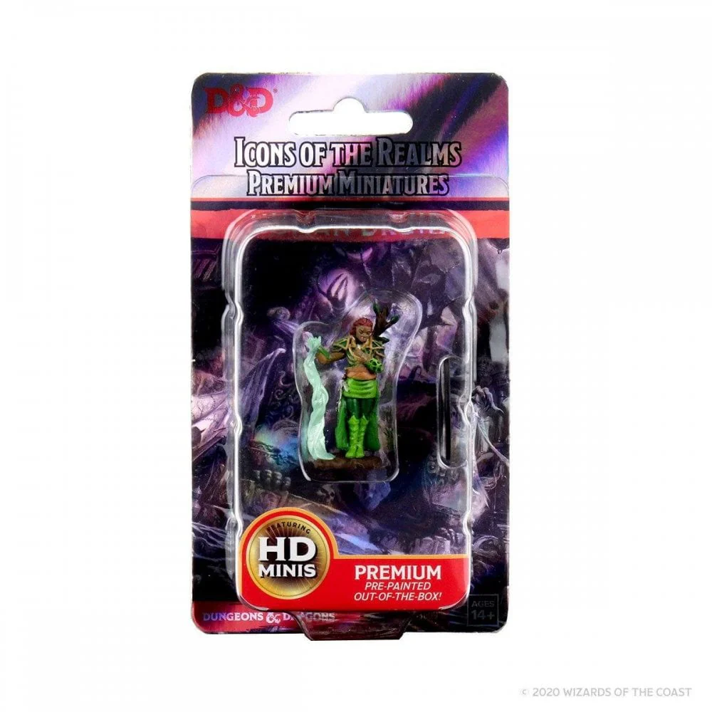 Human Female Druid D&D Icons of the Realms Premium Figures